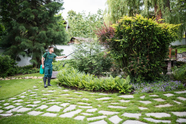 Best Commercial Pest Control Services  in Vega, TX