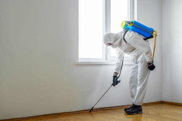 Best Commercial Pest Control Services  in Vega, TX