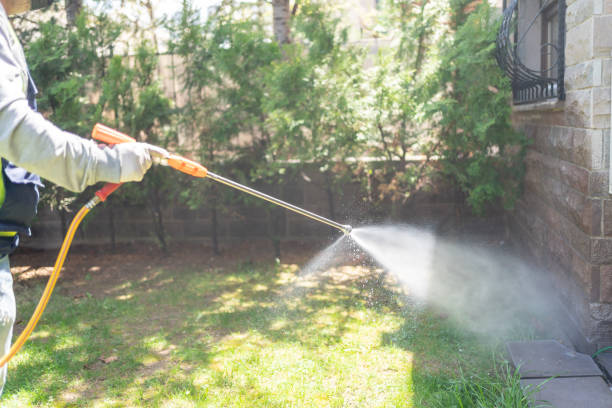 Trusted Vega, TX Pest Control Experts