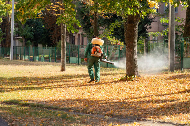 Best Wildlife Control Services  in Vega, TX